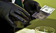Báo cáo hành vi rửa tiền nhằm tài trợ khủng bố