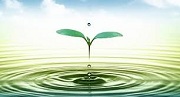Bảo vệ chất lượng nguồn nước trong sản xuất nông nghiệp, nuôi trồng thủy sản
