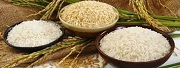 Cân đối nguồn thóc, gạo hàng hóa xuất khẩu
