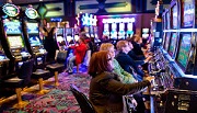 Cung cấp thông tin kinh doanh casino