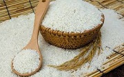Điều kiện kinh doanh xuất khẩu gạo