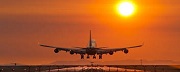 Điều kiện về tổ chức bộ máy kinh doanh trong lĩnh vực hàng không dân dụng