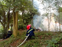 Điều kiện an toàn về phòng cháy đối với khu rừng