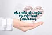 Hành vi vi phạm quy định về bảo hiểm bắt buộc của doanh nghiệp bảo hiểm phi nhân thọ