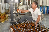 Hành vi vi phạm về sản xuất rượu thủ công nhằm mục đích kinh doanh