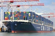 Hồ sơ xin giấy phép kinh doanh dịch vụ vận tải biển