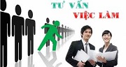 Hỗ trợ tư vấn, giới thiệu việc làm