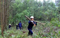 Khai thác lâm sản trong rừng sản xuất là rừng tự nhiên