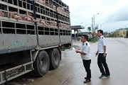 Kiểm dịch động vật, sản phẩm động vật trên cạn tạm nhập tái xuất tại cửa khẩu