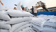 Kiểm tra điều kiện kinh doanh xuất khẩu gạo