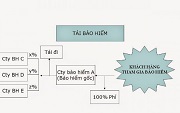 Nội dung kinh doanh tái bảo hiểm