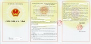  Nội dung và thời hạn của giấy phép bưu chính