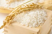 Phát triển thị trường xuất khẩu gạo