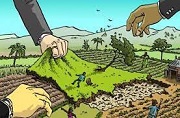 Thu hồi đất nông nghiệp có được tái định cư không?