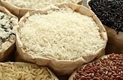 Giao dịch, đàm phán, dự thầu, ký kết và tổ chức thực hiện hợp đồng xuất khẩu gạo tập trung