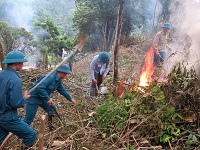 Trách nhiệm về phòng cháy và chữa cháy rừng của chủ rừng