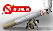 Tư vấn Luật phòng, chống tác hại của thuốc lá – gọi 19006179