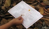 Sử dụng giấy tờ giả đăng ký kết hôn bị xử phạt thế nào?